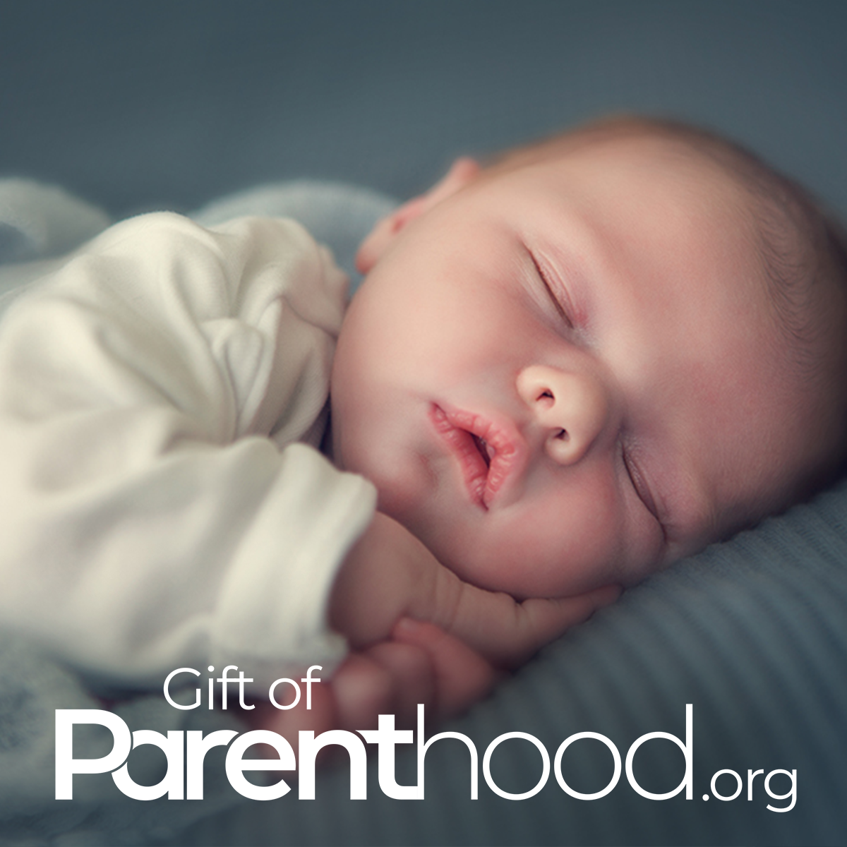 gift of parenthood referral code