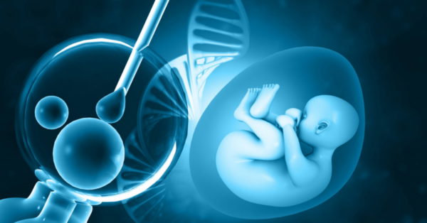 IVF: Last option to have a baby