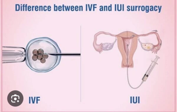 Jen Mckinley/ IVF Journey