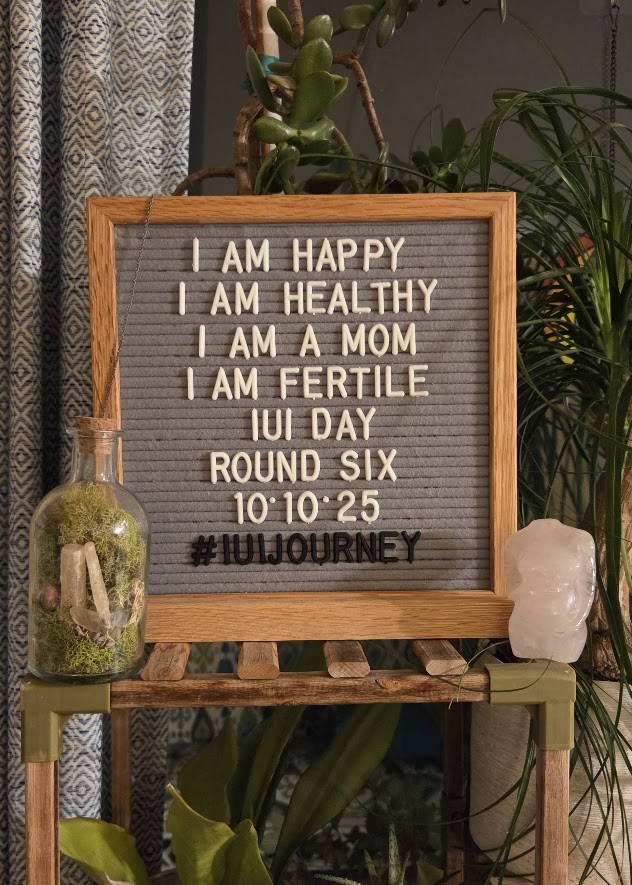 My Own Two Feet-A Single Woman's Road to Baby