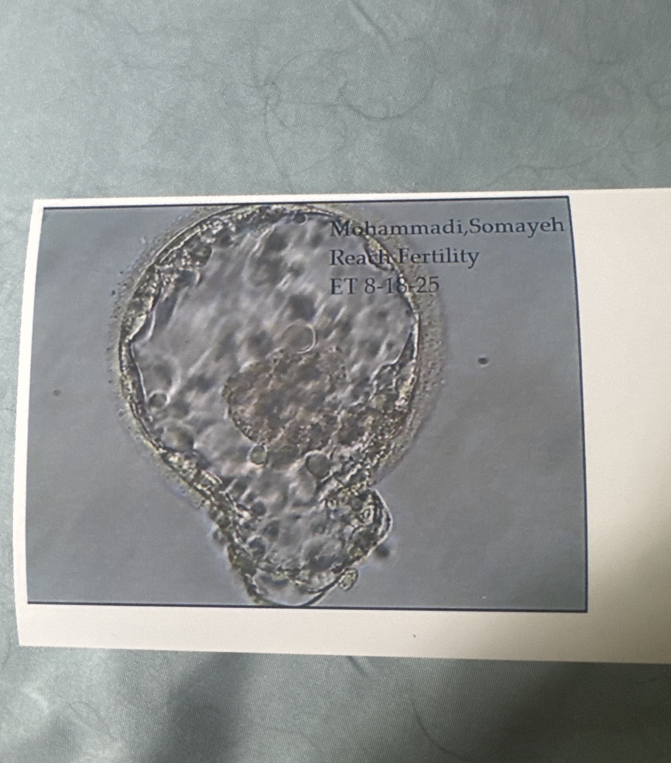 Help Us Grow Our Family Through Surrogacy