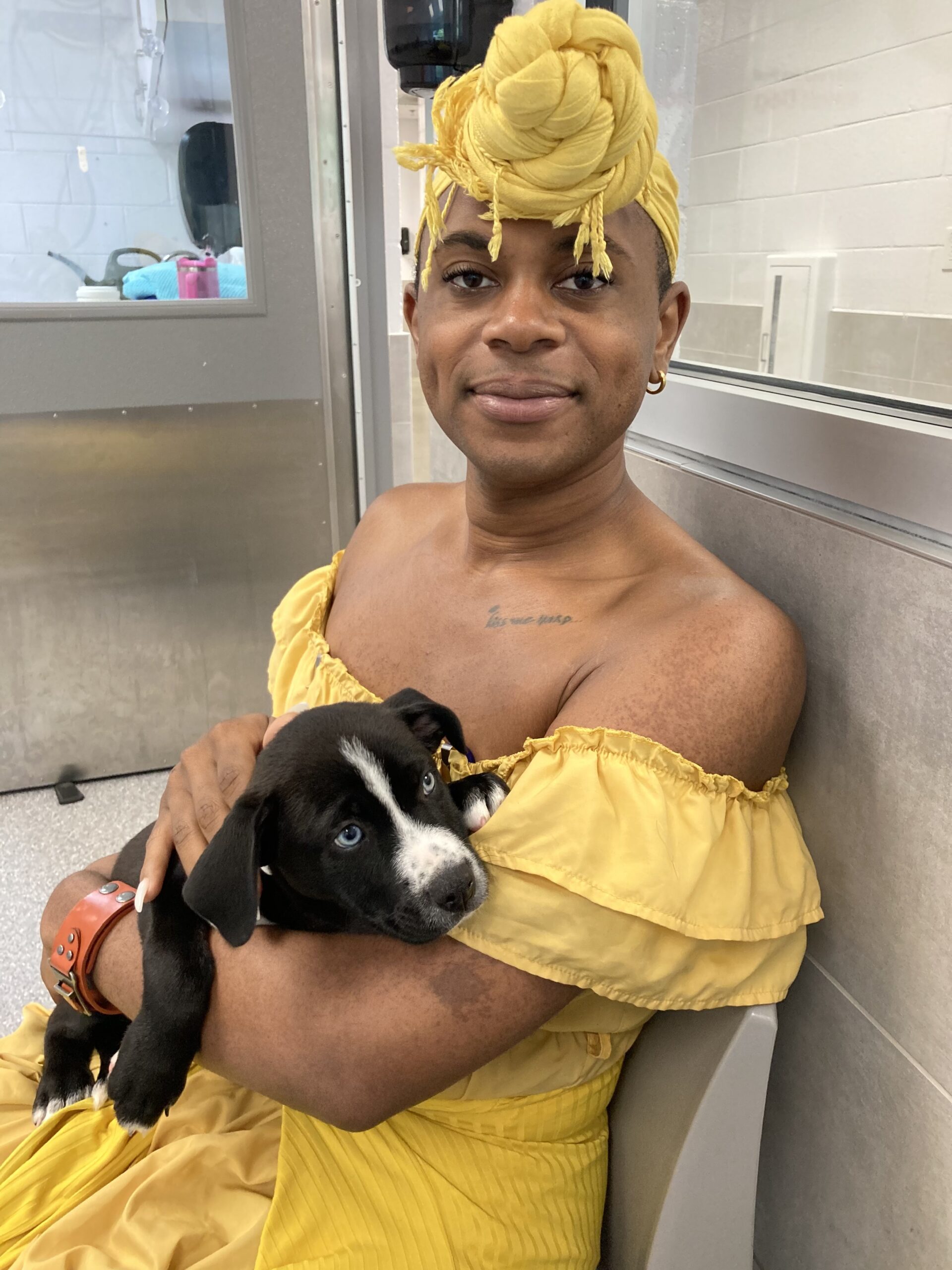 Help us start our queer family!